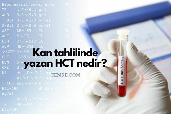 Kan tahlilinde HCT nedir kaç olmalı?