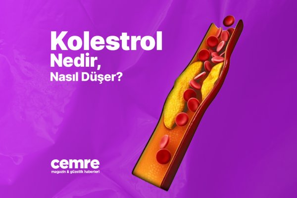 Kolesterol Nedir, Nasıl Düşer?