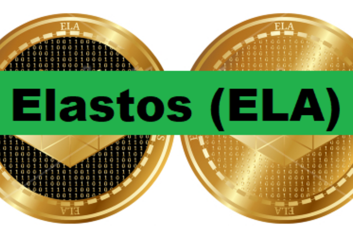 Elastos Coin Nedir? Nasıl Alınır?