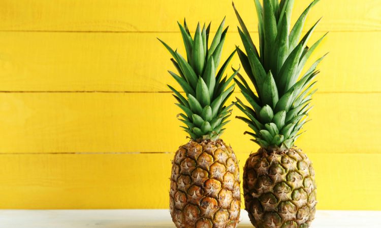 Ananas Ağacı Evde Nasıl Yetiştirilir? 8 Bilgi!