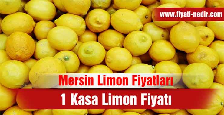 Mersin Limon Fiyatları 2022 - 1 Kasa Limon Fiyatı