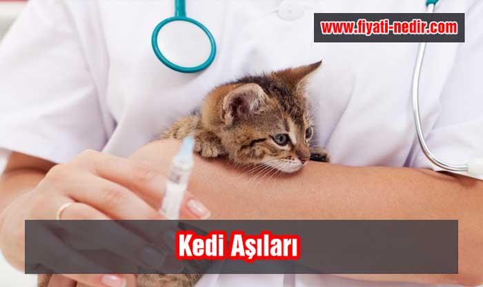 Kedi Aşıları 