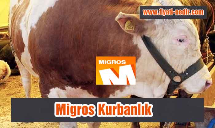 Migros Kurbanlık