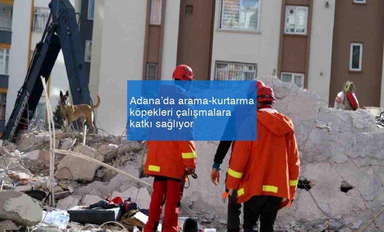 Adana’da arama-kurtarma köpekleri çalışmalara katkı sağlıyor