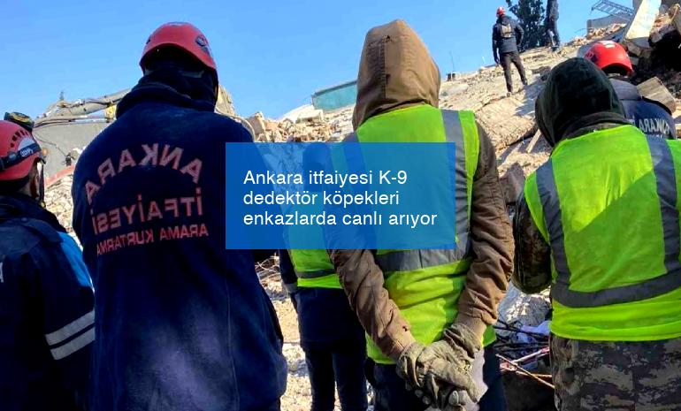 Ankara itfaiyesi K-9 dedektör köpekleri enkazlarda canlı arıyor