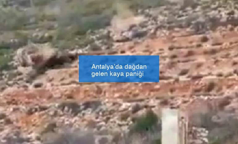 Antalya’da dağdan gelen kaya paniği