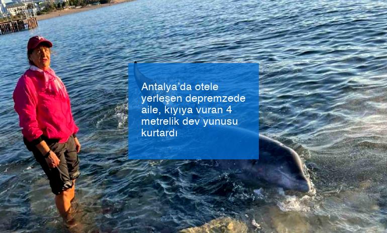 Antalya’da otele yerleşen depremzede aile, kıyıya vuran 4 metrelik dev yunusu kurtardı