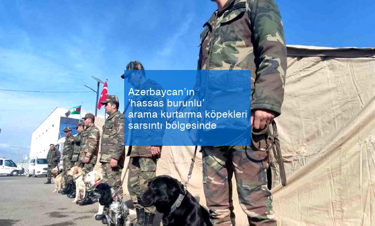 Azerbaycan’ın ’hassas burunlu’ arama kurtarma köpekleri sarsıntı bölgesinde
