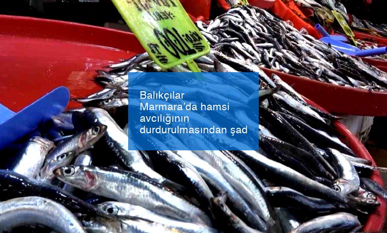Balıkçılar Marmara’da hamsi avcılığının durdurulmasından şad