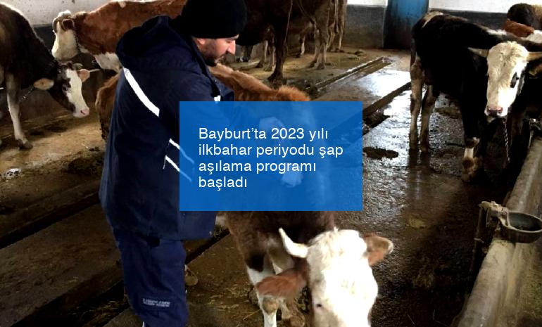 Bayburt’ta 2023 yılı ilkbahar periyodu şap aşılama programı başladı