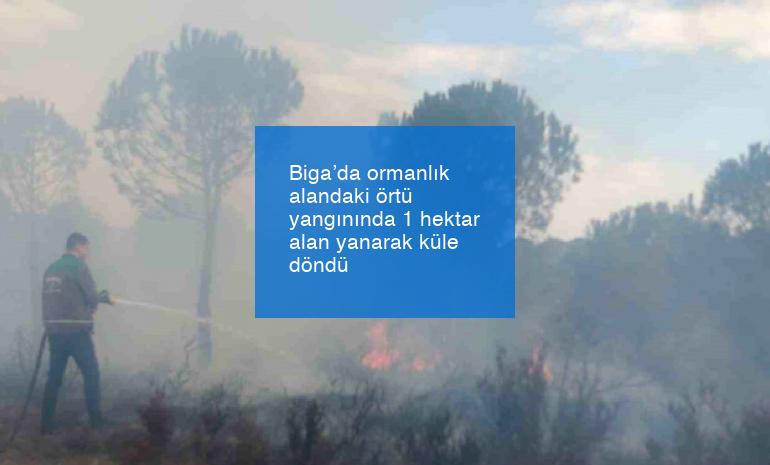 Biga’da ormanlık alandaki örtü yangınında 1 hektar alan yanarak küle döndü