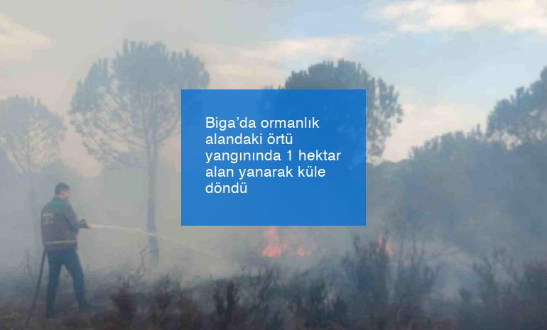 Biga’da ormanlık alandaki örtü yangınında 1 hektar alan yanarak küle döndü