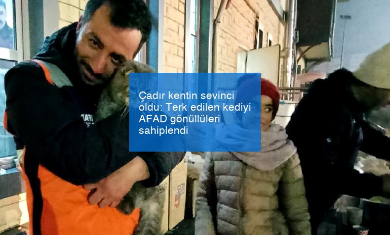 Çadır kentin sevinci oldu: Terk edilen kediyi AFAD gönüllüleri sahiplendi