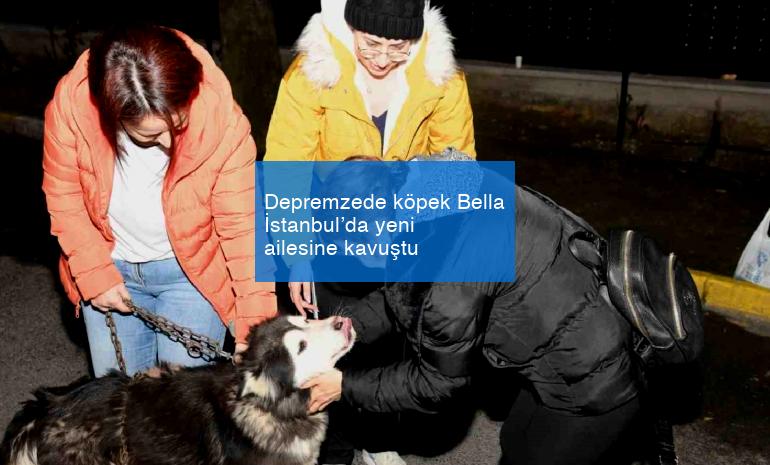 Depremzede köpek Bella İstanbul’da yeni ailesine kavuştu