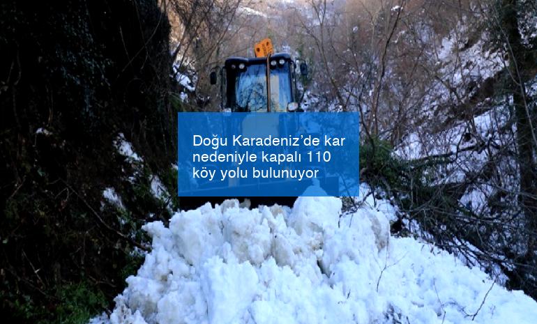 Doğu Karadeniz’de kar nedeniyle kapalı 110 köy yolu bulunuyor