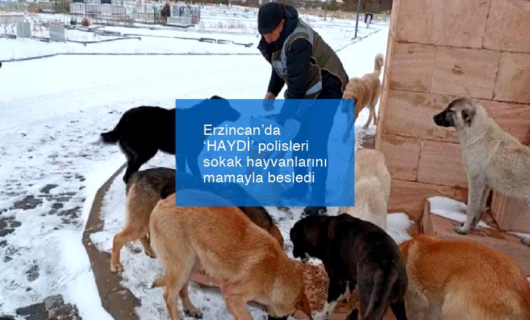 Erzincan’da ‘HAYDİ’ polisleri sokak hayvanlarını mamayla besledi