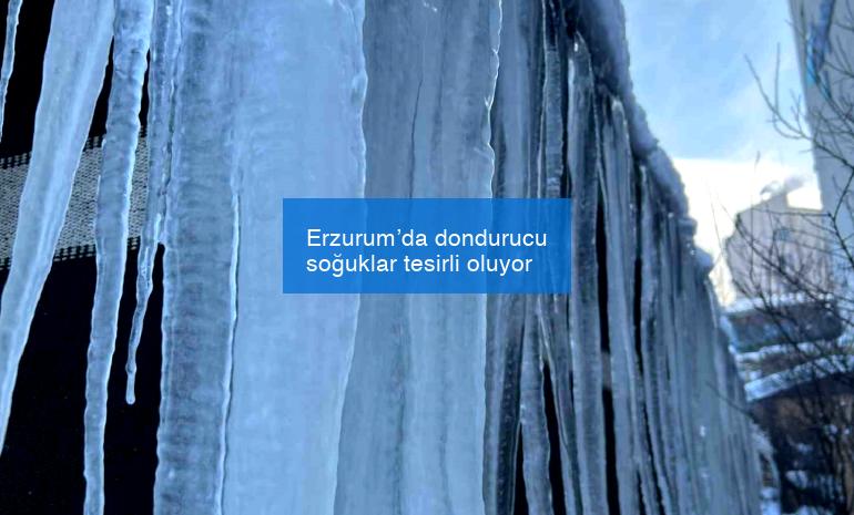 Erzurum’da dondurucu soğuklar tesirli oluyor