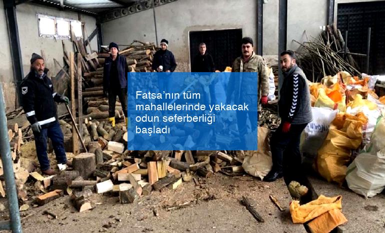Fatsa’nın tüm mahallelerinde yakacak odun seferberliği başladı