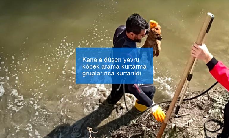 Kanala düşen yavru köpek arama kurtarma gruplarınca kurtarıldı