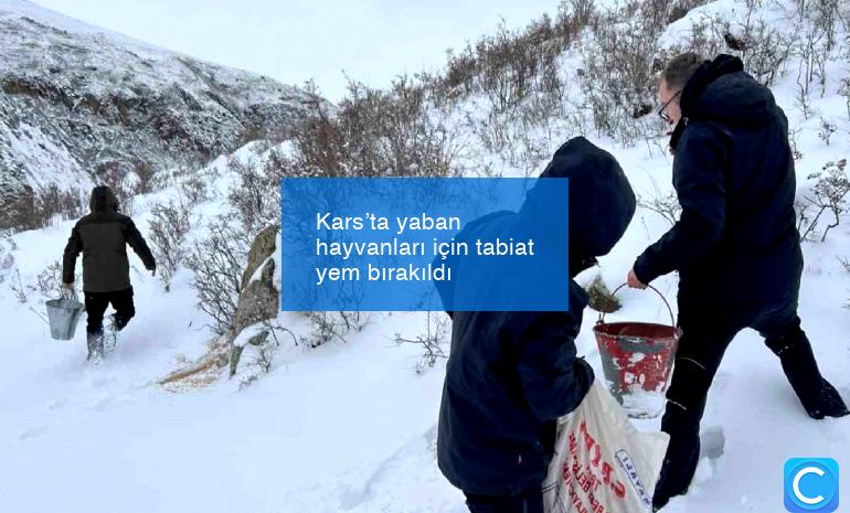 Kars’ta yaban hayvanları için tabiat yem bırakıldı