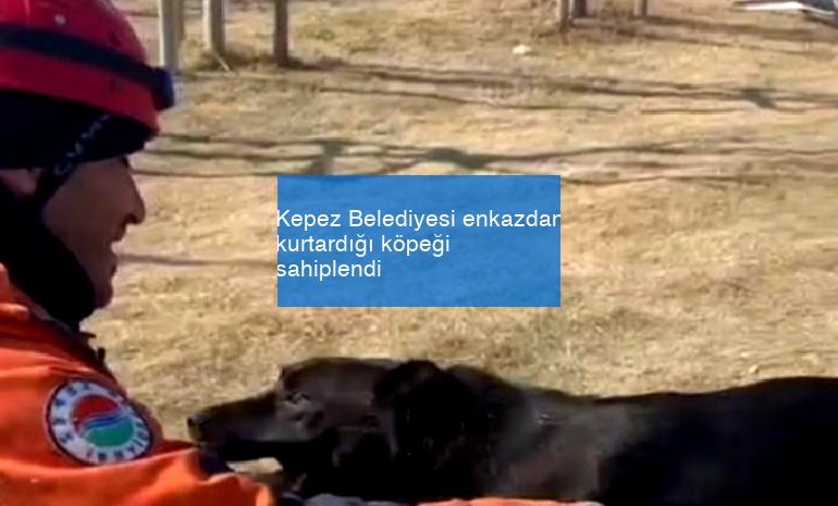 Kepez Belediyesi enkazdan kurtardığı köpeği sahiplendi