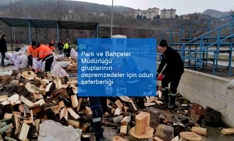 Park ve Bahçeler Müdürlüğü gruplarının depremzedeler için odun seferberliği