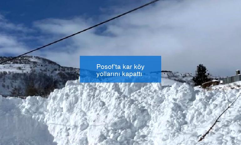 Posof’ta kar köy yollarını kapattı