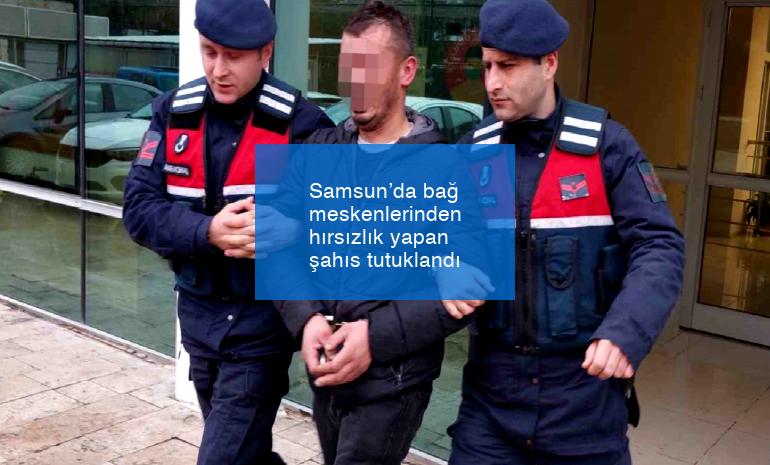 Samsun’da bağ meskenlerinden hırsızlık yapan şahıs tutuklandı