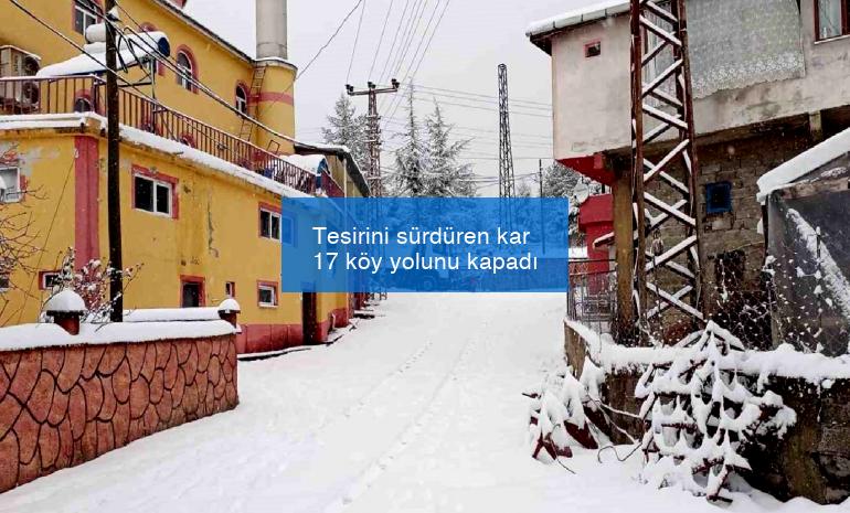 Tesirini sürdüren kar 17 köy yolunu kapadı