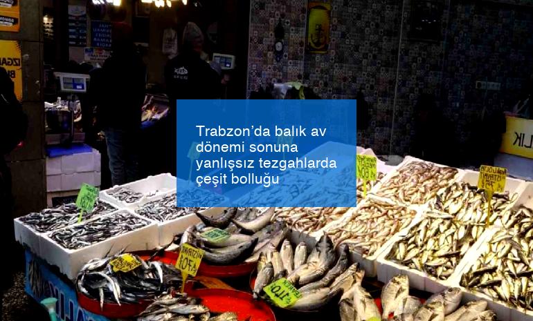 Trabzon’da balık av dönemi sonuna yanlışsız tezgahlarda çeşit bolluğu