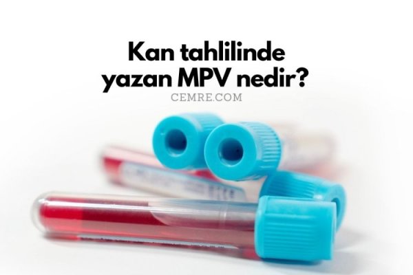 Kan tahlilinde yazan MPV nedir? MPV aralığı kaç olmalı?