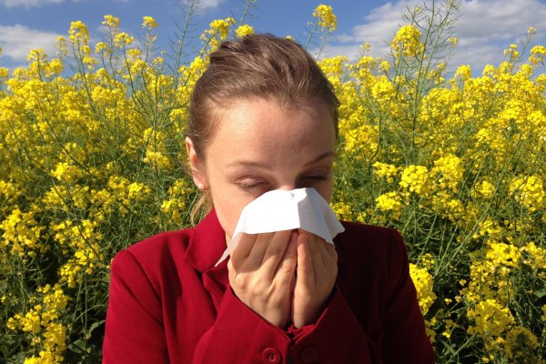 Polen alerjisi belirtileri nedir? Hangi aylarda olur?