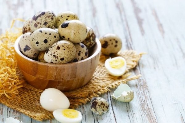 Bıldırcın yumurtasının faydaları nelerdir? Bıldırcın yumurtası nasıl tüketilir?