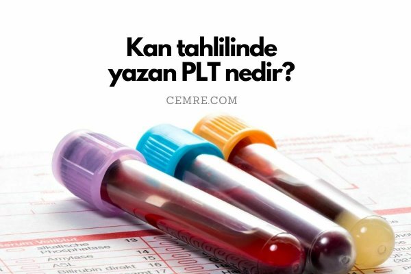 Kan tahlilinde yazan PLT nedir? PLT aralığı kaç olmalı?