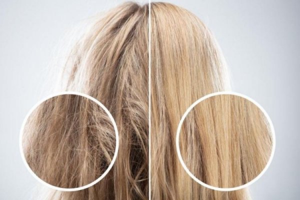 Saçlar neden kurur ve yıpranır? Kuru saçlar için bitkisel maske önerileri